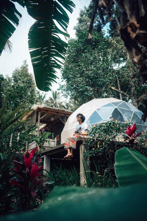 Bali Jungle Camping By Amerta Experience Selemadeg Екстериор снимка