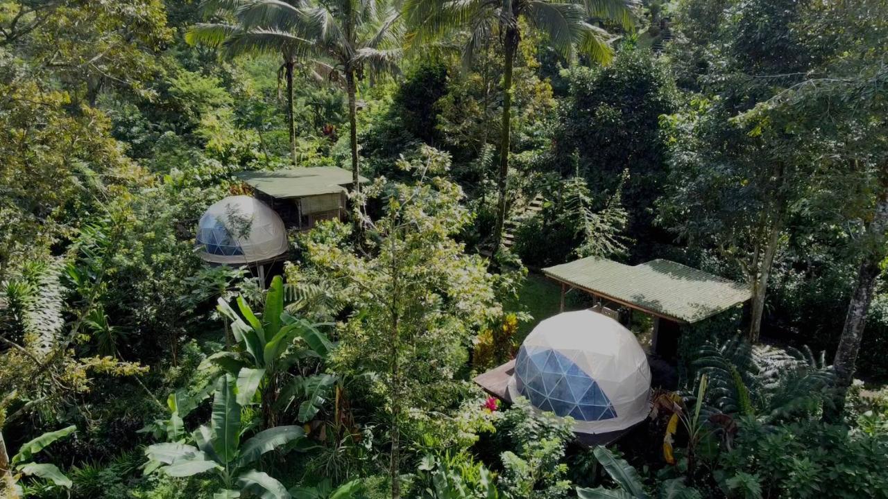 Bali Jungle Camping By Amerta Experience Selemadeg Екстериор снимка