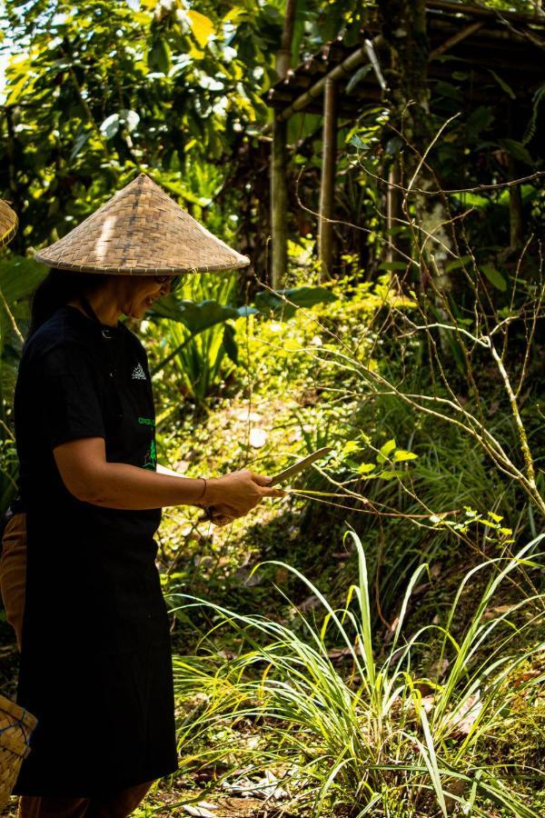 Bali Jungle Camping By Amerta Experience Selemadeg Екстериор снимка